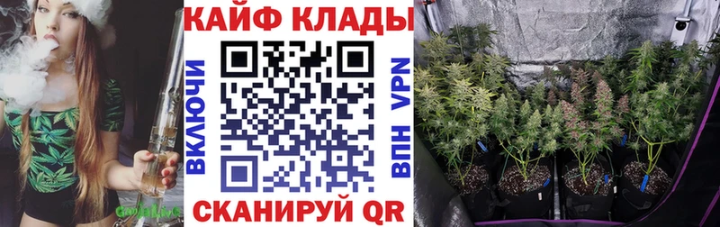 Магазины продажи наркотиков Городовиковск МАРИХУАНА  КОКАИН  СК  ГАШИШ 