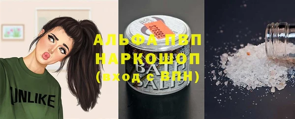 крисы Белокуриха