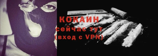шишки Белоозёрский