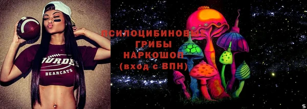 шишки Белоозёрский