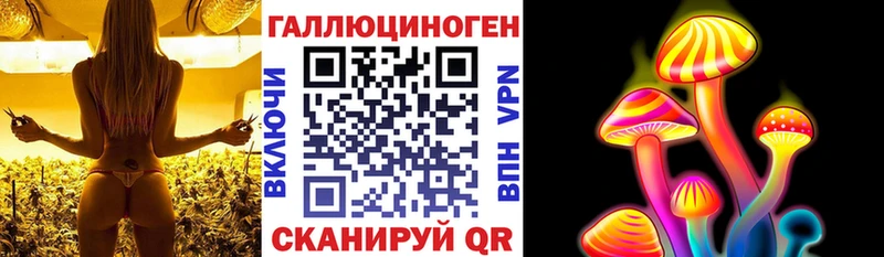Псилоцибиновые грибы Psilocybe Городовиковск